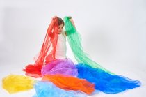 RAINBOW ORGANZA FABRIC
