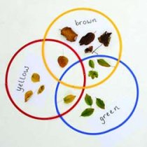 DESKTOP SORTING RINGS SET