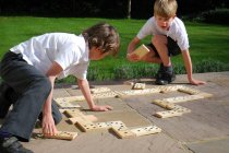 WOODEN DOMINOES- 6 inch pieces