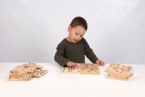 WOODEN DOMINOES- 6 inch pieces