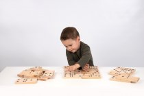 WOODEN DOMINOES- 6 inch pieces