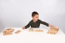 WOODEN DOMINOES- 6 inch pieces