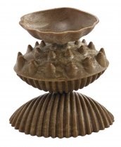 ECO FRIENDLY TACTILE SHELLS