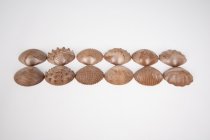 ECO FRIENDLY TACTILE SHELLS