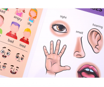 Ormond A4 14pg Wipe Clean Activity Book - Body Parts And The Five Senses