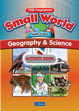 Sixth Class Activity Book