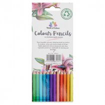 WOC ADULT PKT.12 COLOUR PENCILS - PASTEL SHADES