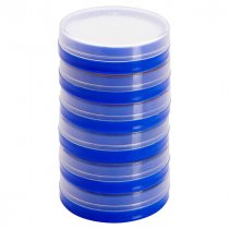 * JOVI BOX 6x8ml FACE PAINT SET