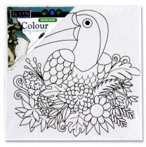 ICON 100x100mm COLOUR MY CANVAS - TOUCAN