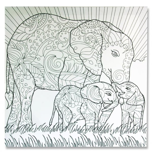ICON 500x500mm COLOUR MY CANVAS - ELEPHANT